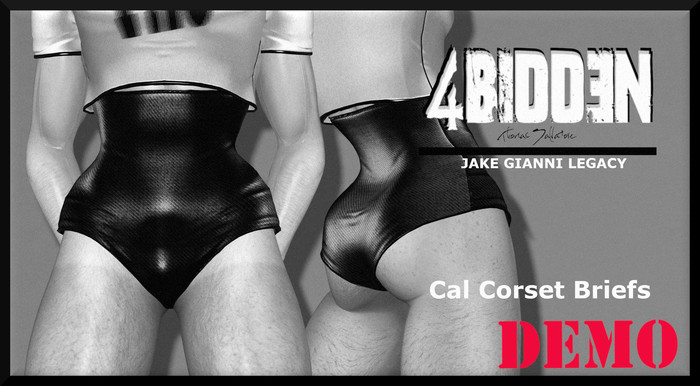 .::4BIDDEN::. Cal Corest Breifs DEMO