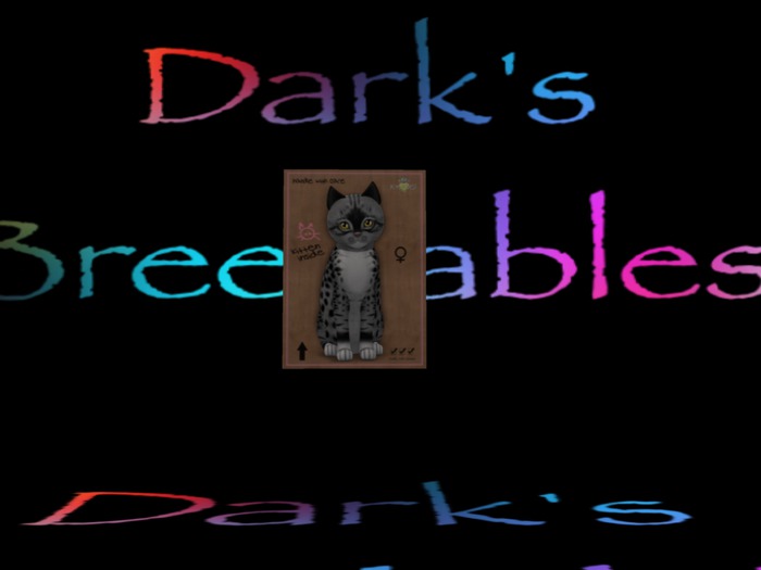 KittyCatS Box - New Born Kitten