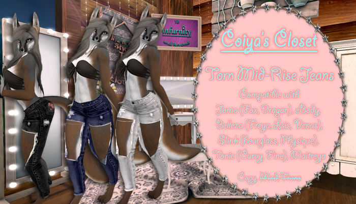 Coiya's Closet- Torn Mid-Rise Jeans