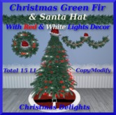 Christmas Decor Group Green & Santa Hat