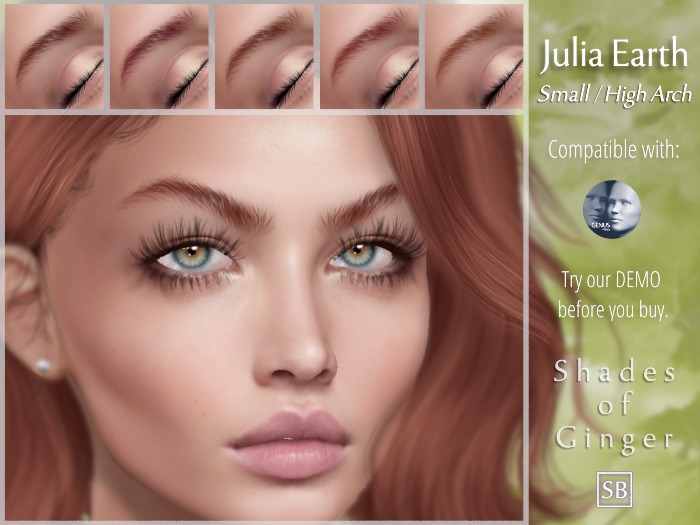 Eyebrows, Genus: JuliaEarth.Small.HighArch.Ginger