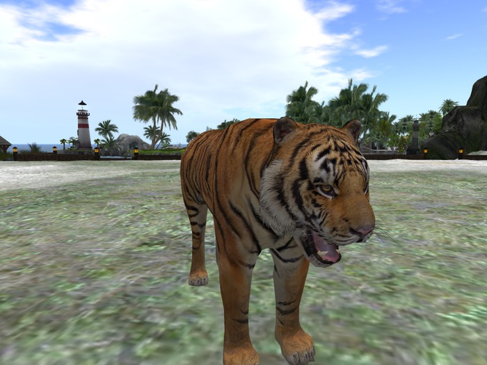 Tiger Tip Jar