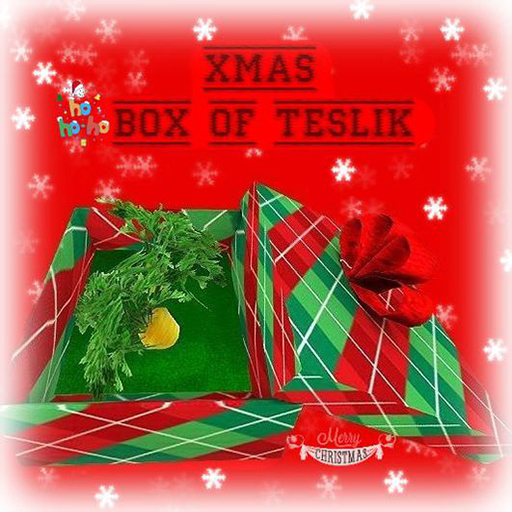 DFS Xmas Box Of Teslik