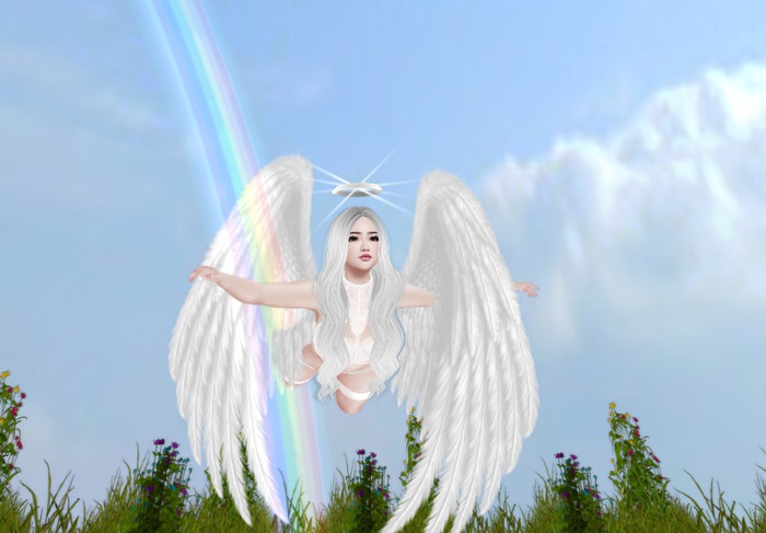 Asas de Anjo - Global Store