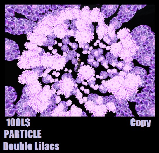 PARTICLE Double Lilacs