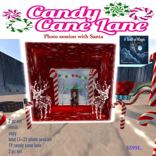 Candy Cane Lane Photo session with Santa-bags