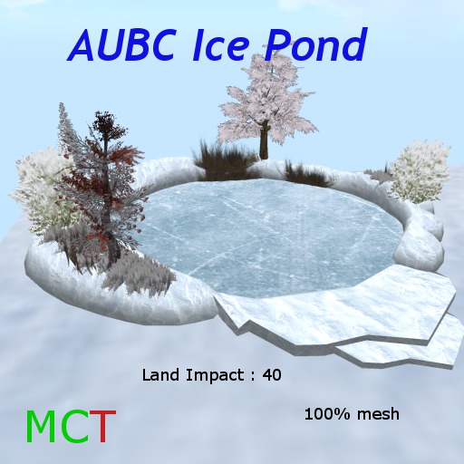 AUBC Ice Pond
