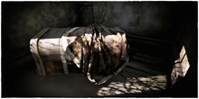 6 -DRD- MM3 - Eowyns Hope Chest