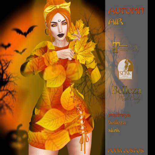[boxed] autumn air by Punk JUSTUS