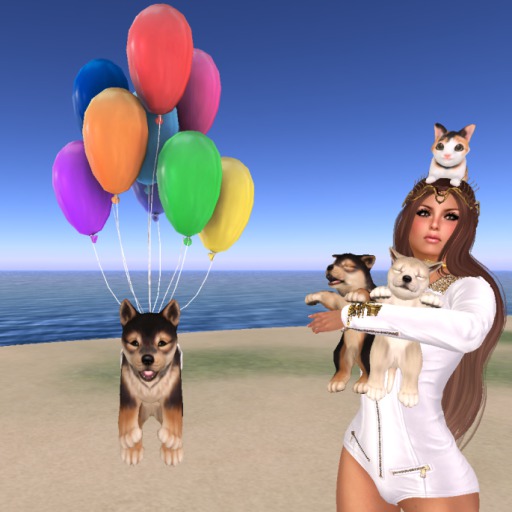 JIAN :: Silly Shibes - Floaty Pup RARE (BOX)