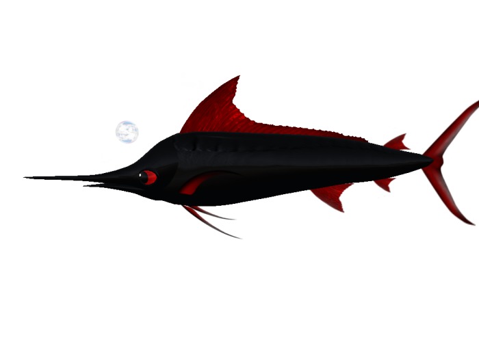 (7S) Common Fish: Blackred Marlin