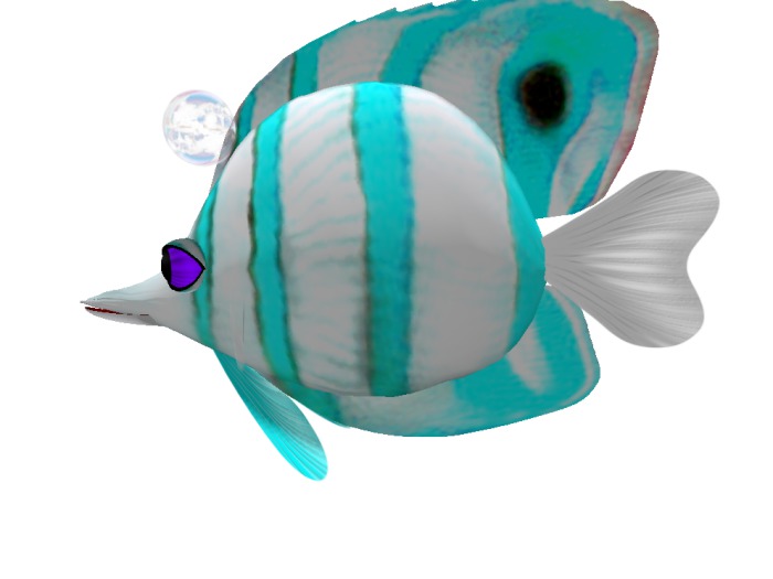 (7S) Common Fish: Blue Banded Fish