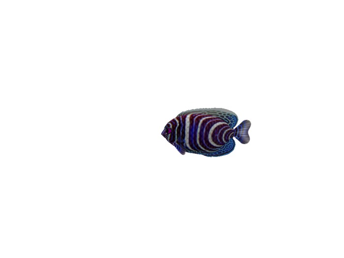 (7S) Common Fish: Blue Juv Emperor