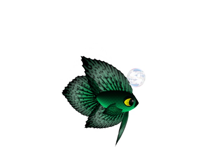 (7S) Common Fish: Green Betta