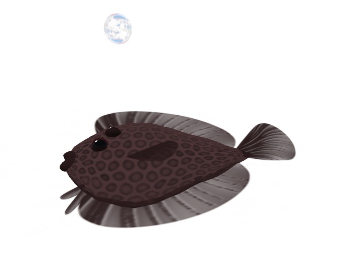 (7S) Common Fish: Red Flounder