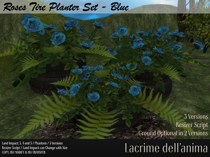 (BOX) Roses Tire Planter Set - Blue