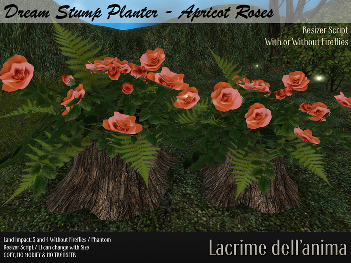 (BOX) Dream Stump Planter - Apricot Roses