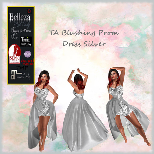 TA Blushing Prom Dress Silver