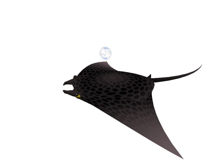 (7S) Rare Fish: Spotted Manta Ray