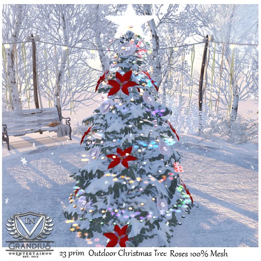 Outdoor Christmas Tree Roses 