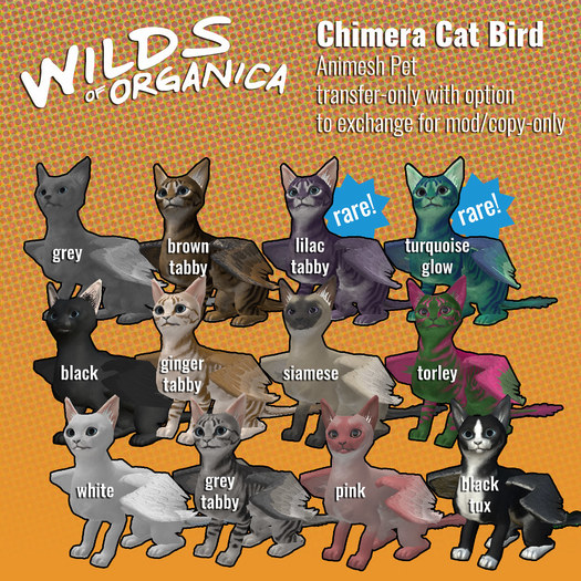 [ WoO ] Chimera Cat Bird Pet (Turquoise Dream) (RARE)(T)