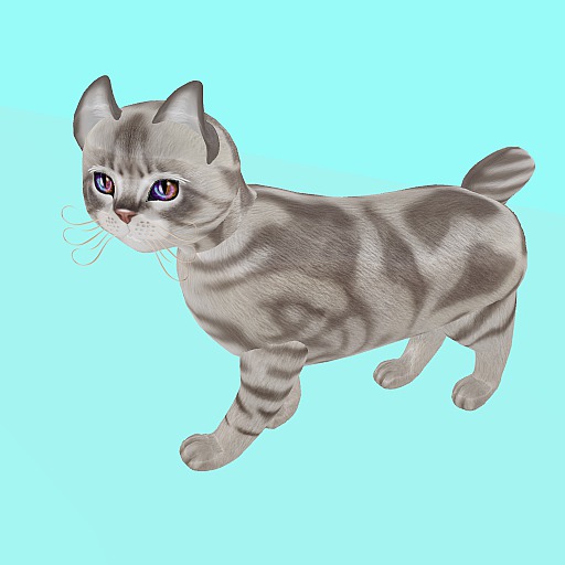 KittyCatS Box - Avalloc