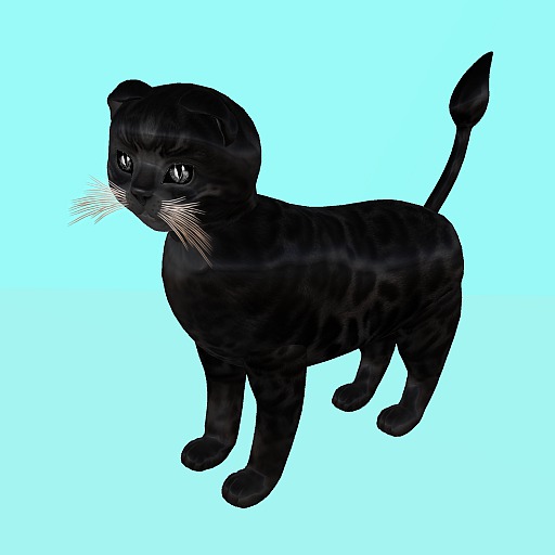 KittyCatS Box - New Born Kitten