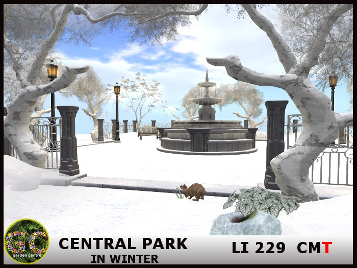 GC - CENTRAL PARK IN WINTER
