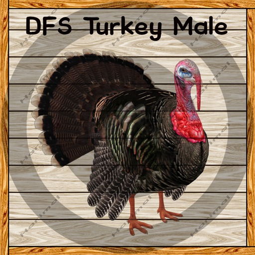DFS Turkey Male TEXTURE