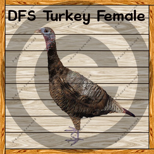 DFS Turkey Female TEXTURE