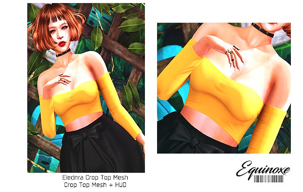 .E. Elendra Crop Top