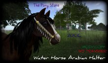 The Pony Store - Water Horse Arabian Halter - White/Gold