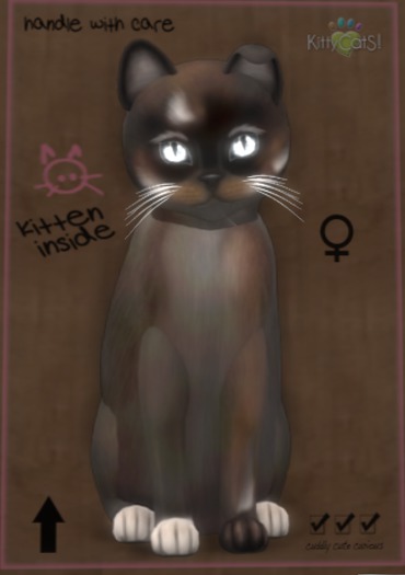 KittyCatS Box Normal - Girl 6