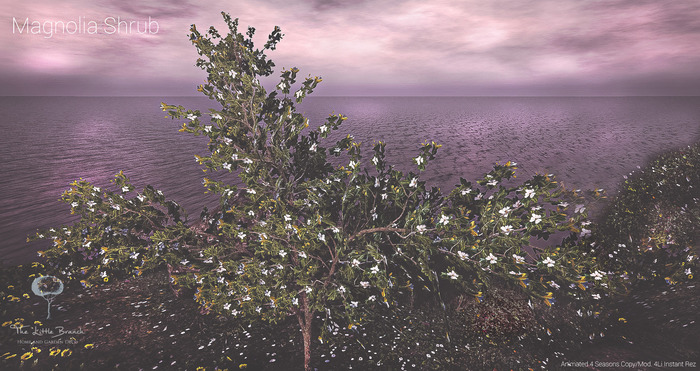 SouthernMagnoliaShrub{Animated}*4Seasons_UnPackHud