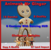 Animesh Mr Ginger, Costume & HUD, Bagged