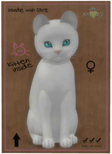 KittyCatS Box - Russian - White
