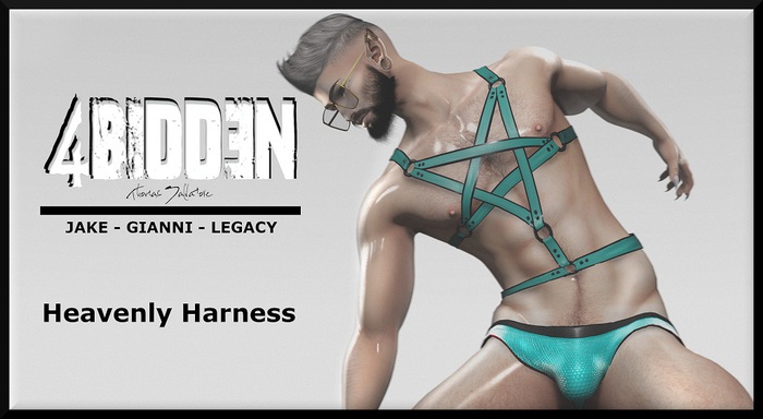 .::4BIDDEN::. Heavenly Harness
