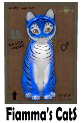 KittyCatS Box - Tiger! - Huckleberry