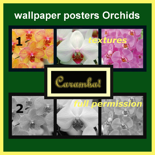 Wallpaper posters Orchids - textures
