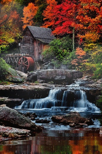 autumn river animated frame