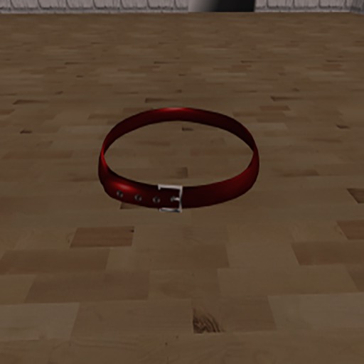 ][Kenzi][Belt - Red