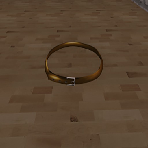 ][Kenzi][Belt - Gold