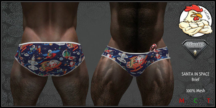 LeCock - AESTHETIC SANTA IN SPACE Brief