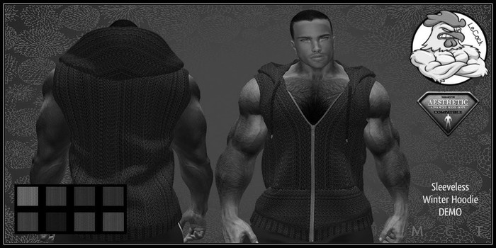 LeCock - AESTHETIC Sleeveless Winter Hoodie DEMO