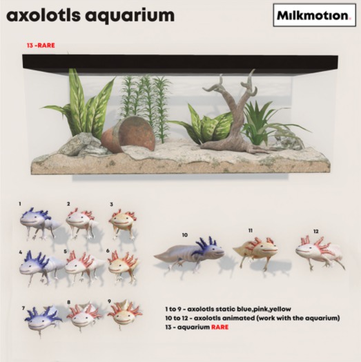 (Milk Motion) Axolotls aquarium - blue static 1