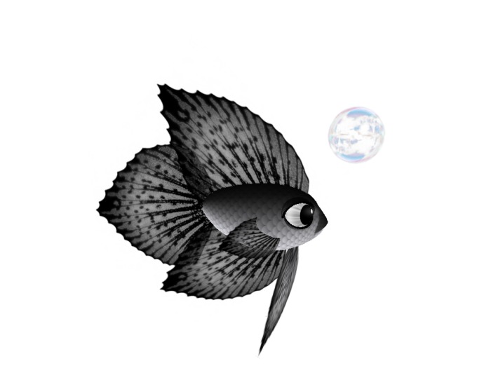 (7S) Uncommon Fish: Gray Betta