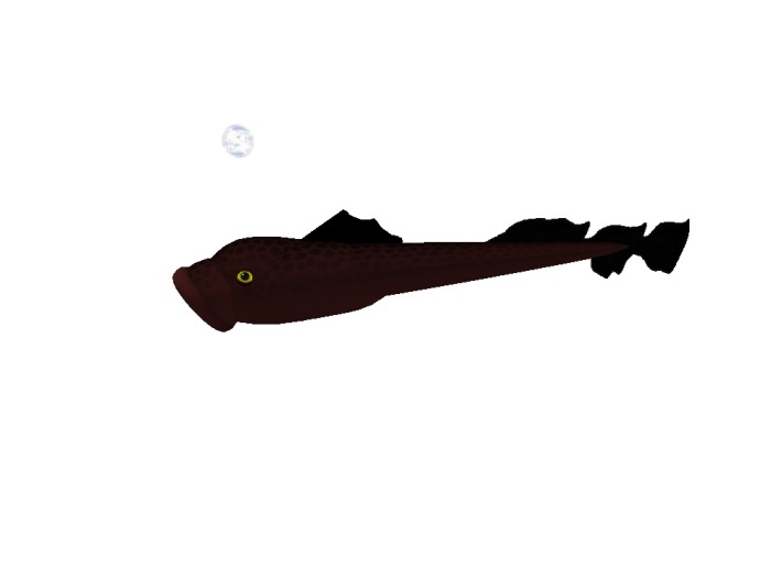 (7S) Rare Fish: Red Lamprey