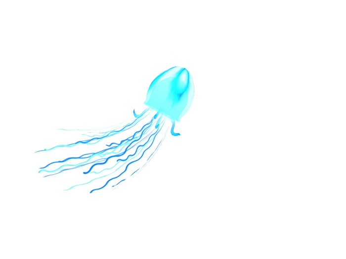 (7S) Uncommon Fish: Blue Jellyfish