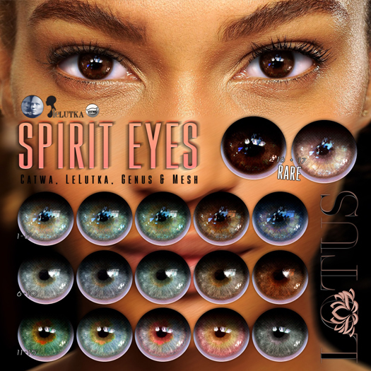 LOTUS. Spirit Eyes 06 BOX