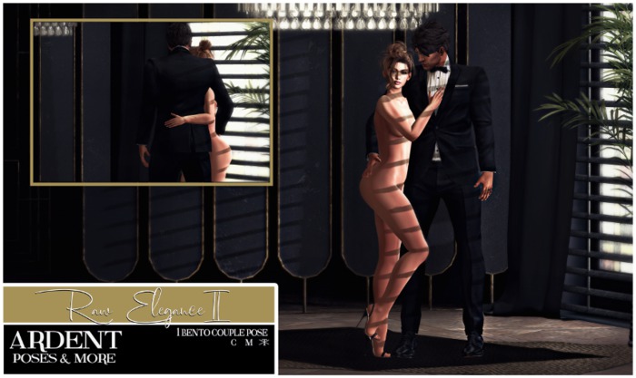 Ardent Poses - Raw Elegance II